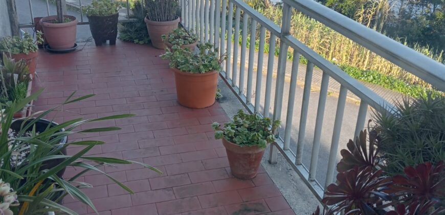 CASA FRENTE A LA PLAYA EN PALMEIRA