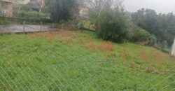 FINCA URBANA EN PALMEIRA