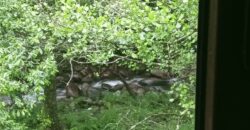 CASA DE PIEDRA RECIEN RESTAURADA EN POBRA DO CARAMIÑAL