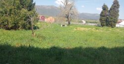 CASA CON FINCA EN POBRA DO CARAMIÑAL
