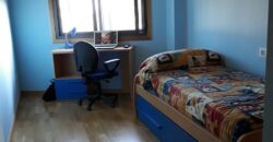 APARTAMENTO EN PALMEIRA