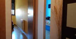 APARTAMENTO EN PALMEIRA